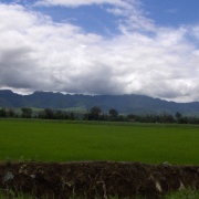 05_Verso Kalaw (4)